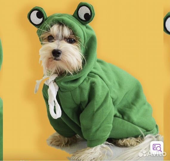Одежда для собаки