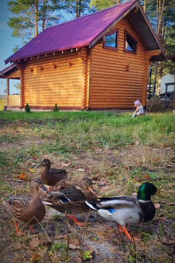 Дом 85 м² на участке 15 сот.