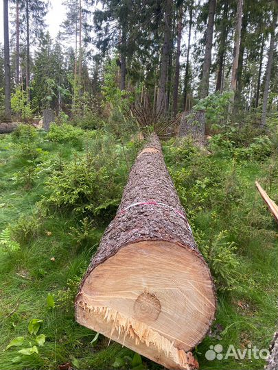 Дрова бесплатно