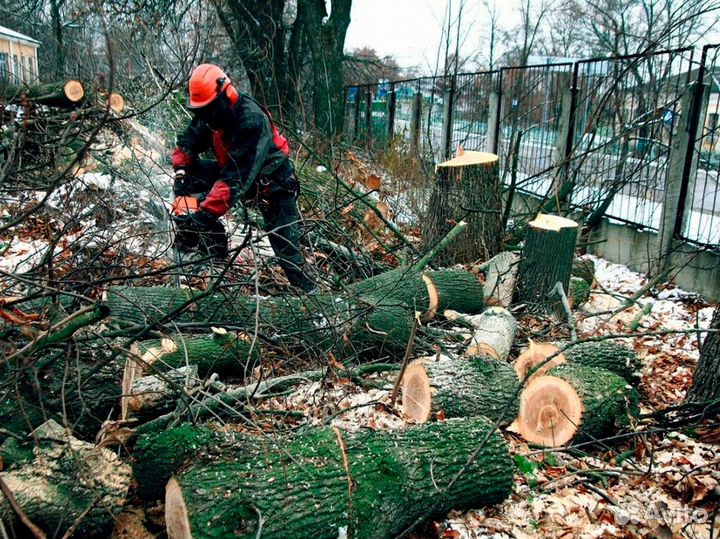 Озеленение. Спил деревьев. Расчистка участков