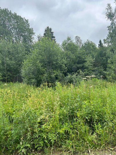 Участок 15 сот. (ИЖС)