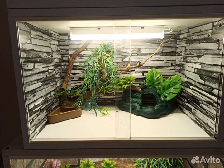 Террариум для эублефара