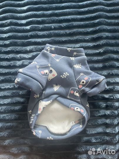 Одежда для собак мелких пород