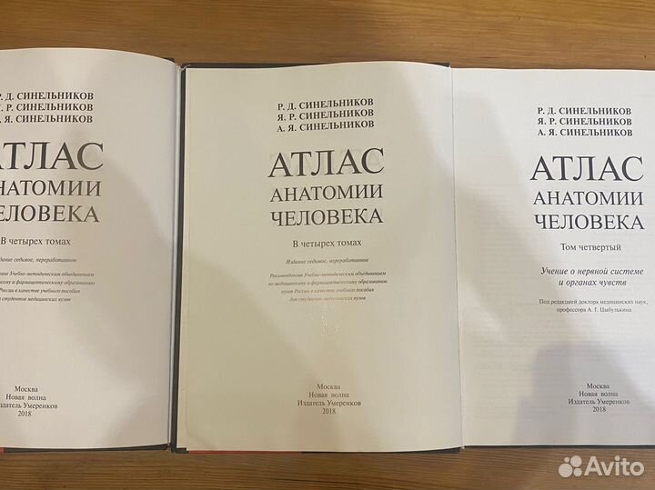 Атлас анатомии человека Синельников