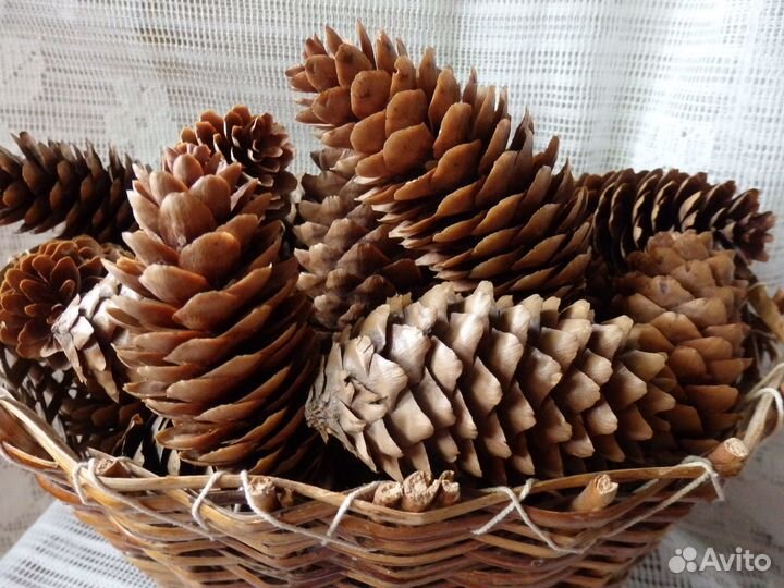 Шишки для рукоделия, декора и другого применения