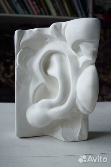 Ухо Давида (гипс)