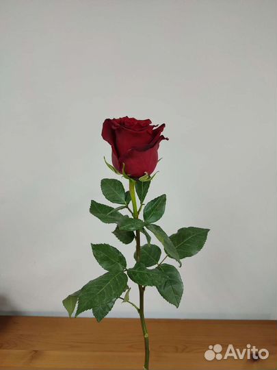 Продавец в цветочный магазин