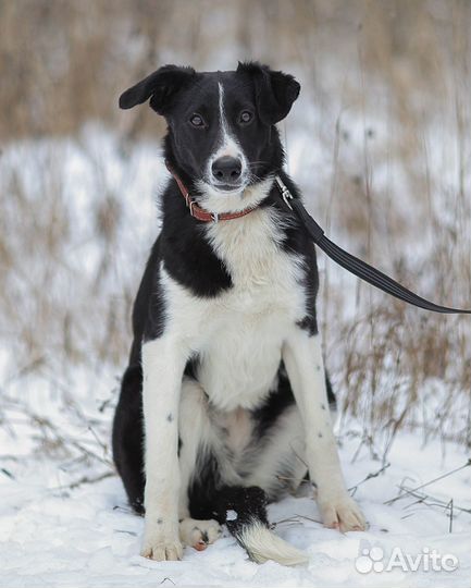 Выросла в приюте. Семья не нашлась