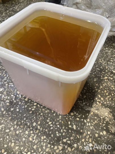 Свежий цветочный мёд, качка 2023 год опт