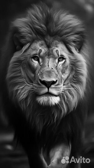 Модель на тату