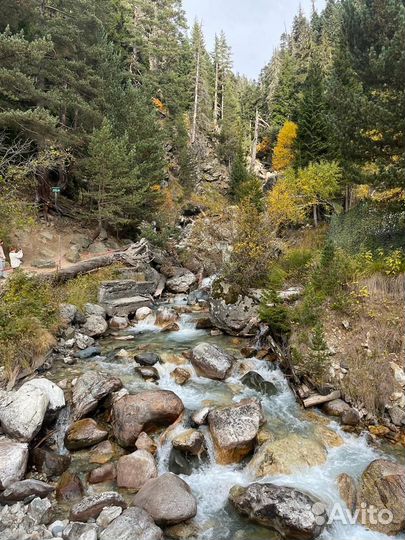 Джип тур в Домбай