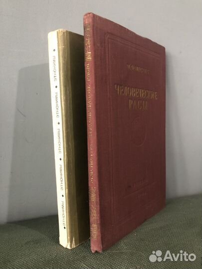 М.Ф. Нестурх. Человеческие расы. 1954 год