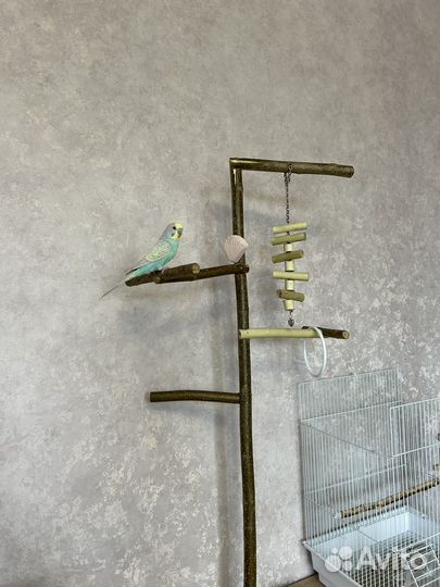 Игровая площадка, Стенд для попугая