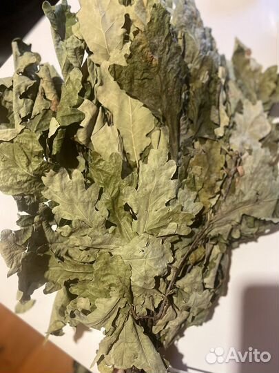 Дубовые веники для бани