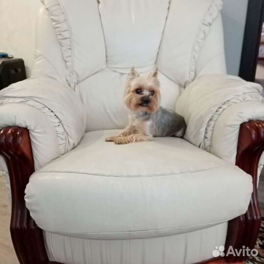 Зоогостиница,передержка животных