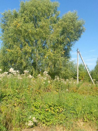 Дом 26,5 м² на участке 15 сот.