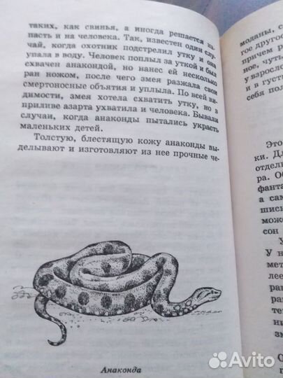 Я познаю мир (мир животных)что. где. когда