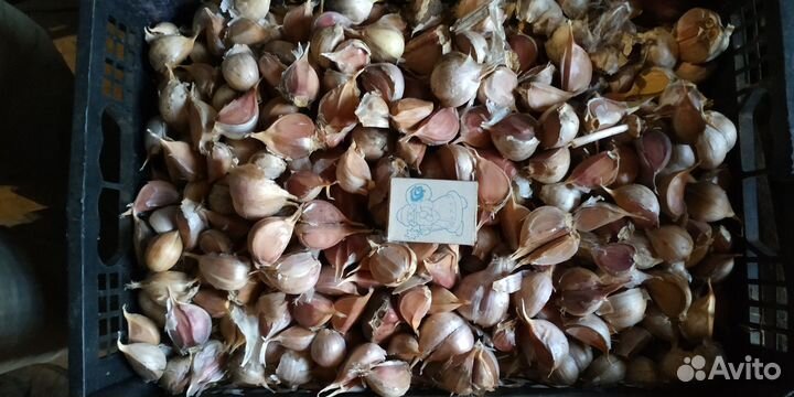 Чеснок дробленый