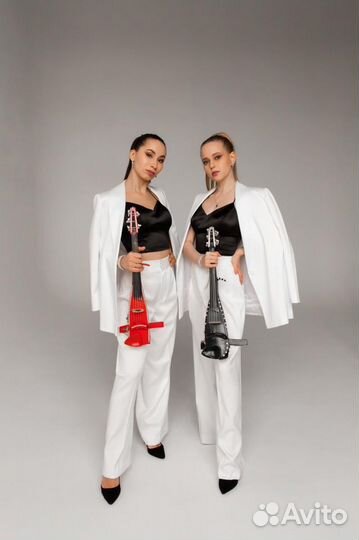 Скрипачка, музыкант, живая музыка, артист