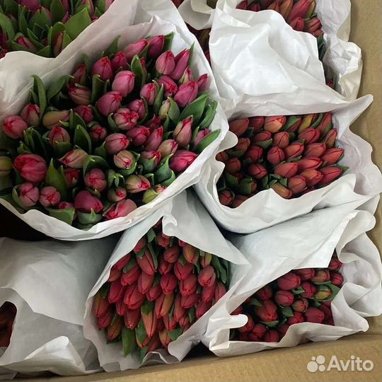 Тюльпаны к 8 марта оптом