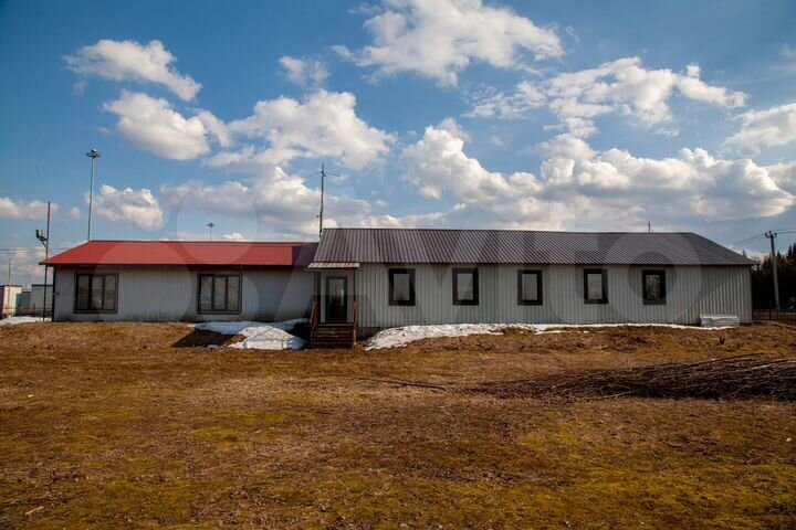 Кафе, магазин на Московском шоссе, 300 м²