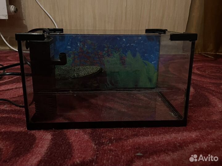Черепашатник с фильтром