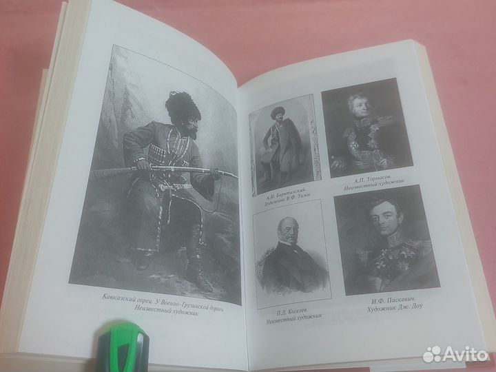 Друзья и враги за Кавказским хребтом Чичкин А.А