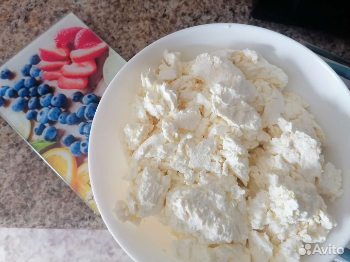 Молоко, сметана, творог, яйца