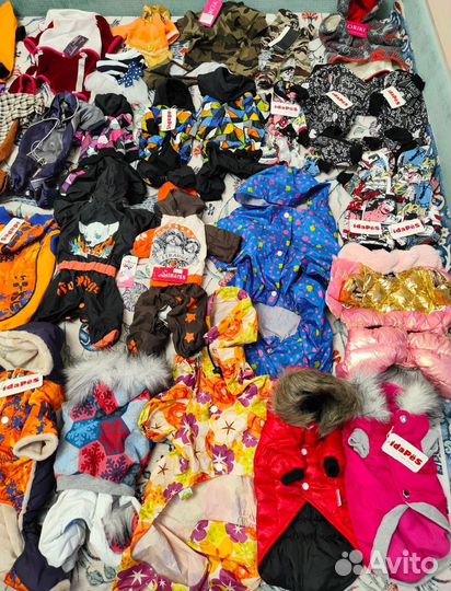 Одежда для собак