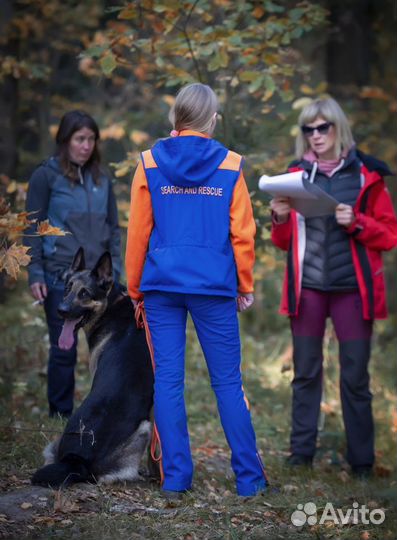 Кинолог. Дрессировка собак