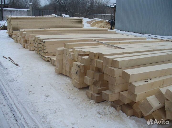 Профбрус из зимнего леса