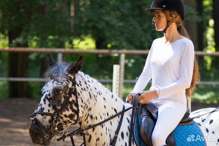 Тренер берейтор