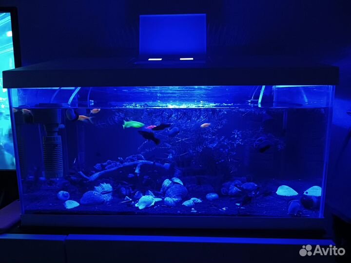 Аквариум aquael 54 литра