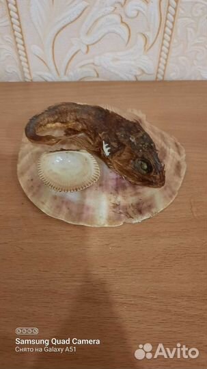 Сувенир из Владивостока