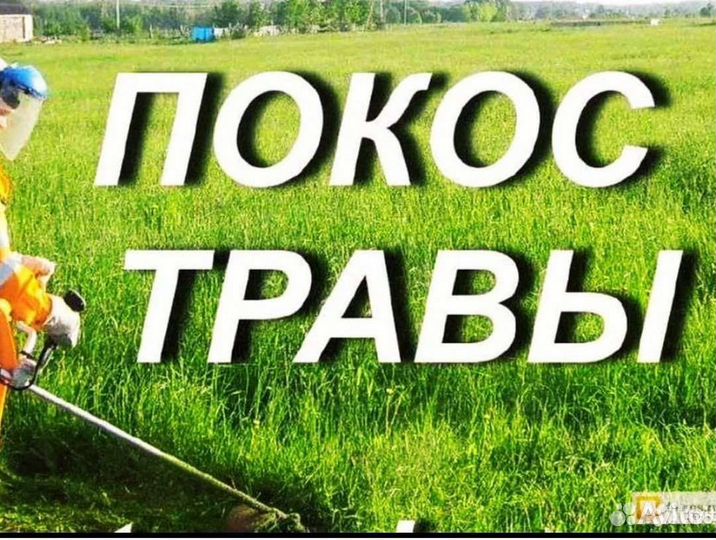 Покос травы триммером