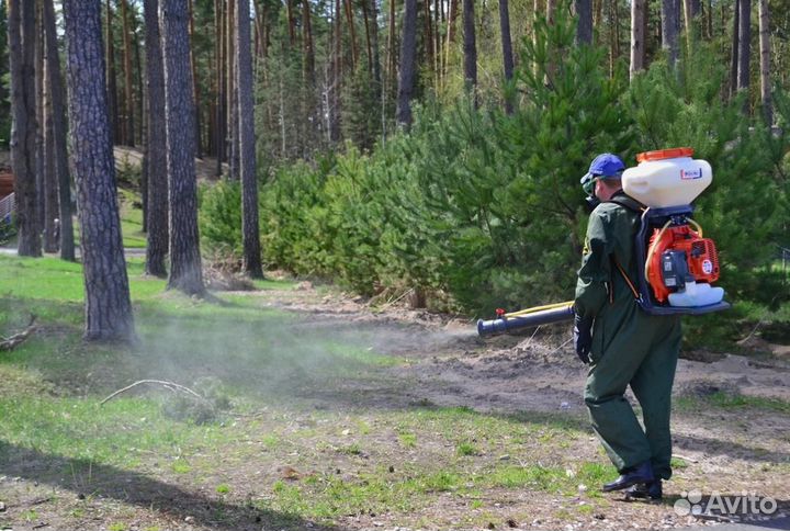 Уничтожение клопов тараканов грызунов блох плесени