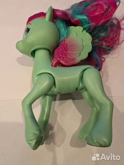 Пони номер 19