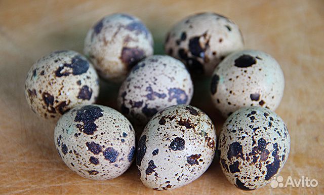 Яйца перепелиные