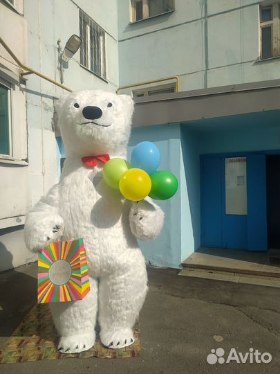 Белый медведь и чебурашка, услуга поздравь сам