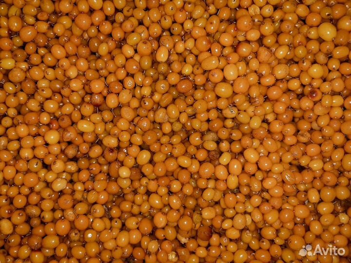 Облепиха с бесплатной доставкой