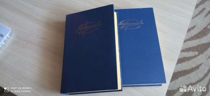 Лермонтов, Есенин. По 2 тома