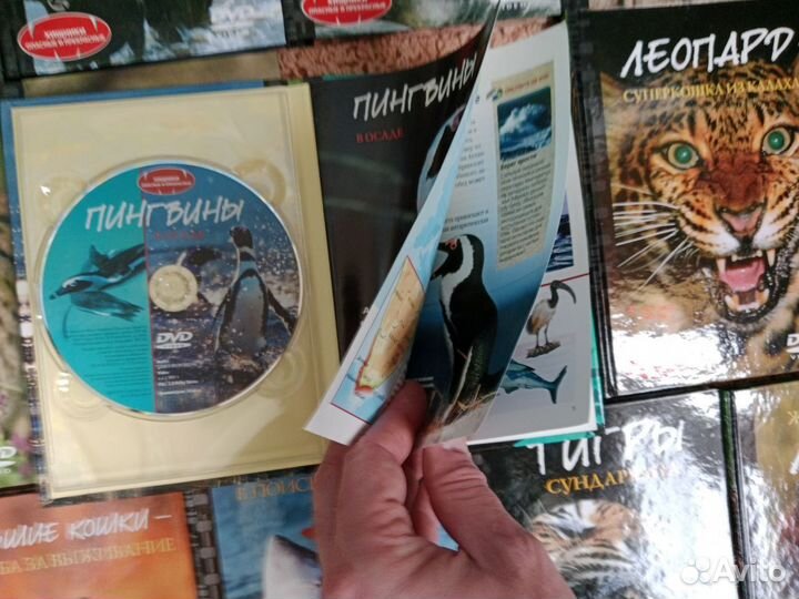 Собрание фильмов про дикую природу-DVD+книги-21 шт