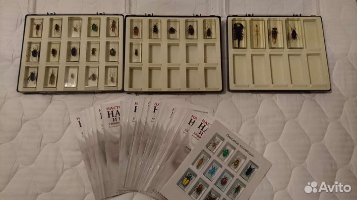 Насекомые и их знакомые Deagostini