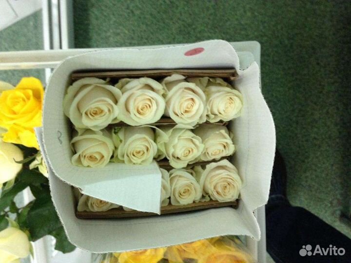 Роза 31,21,51,101, Букет