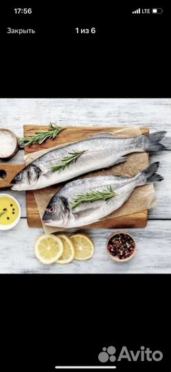 Рыбный отдел