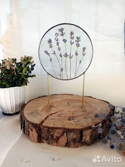 Мастер класс пайка Картины Гербария под стеклом