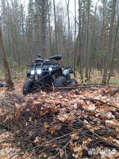 Квадрацикл