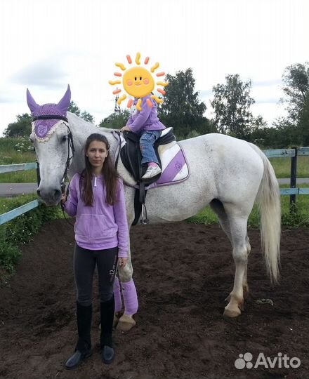 Амуниция для лошади. Вальтрап, бинты, ушки