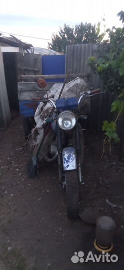 Продам муравья