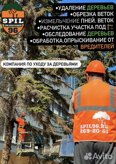 Удаление деревьев.расчистка участков.измельчение